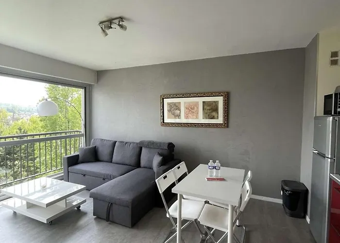 Sky - Superbe Lumineux Et Cosy *